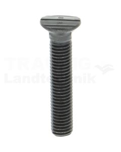 Bolzen M10x55