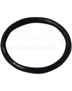 O-Ring