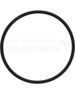 O-RING 1A G-65,0