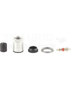 Reifendruckkontrollsystem RDKS / TPMS 10