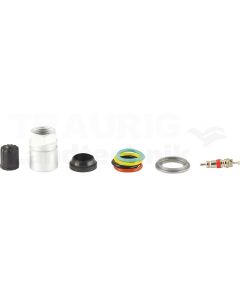 Reifendruckkontrollsystem RDKS / TPMS 17