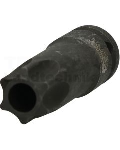 1/2" Spezial-TX-Stern-Bit-Stecknuss für Nockenwell