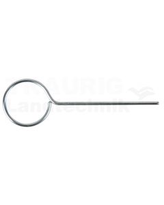 Arretier-Stift für Riemenspanner