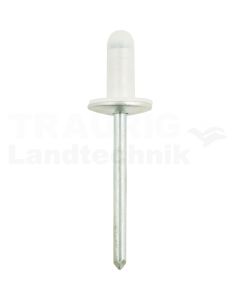 Dichtniete mit 12,8mm Flansch universal,10er Pack