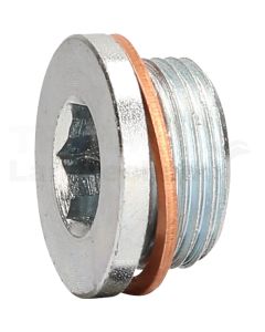 Ölablassschraube M22 x 1,5 x 1, 430.0602