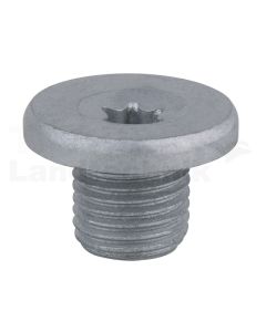 Ölablassschraube, TORX®, T45 mm 10er Pac