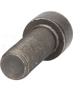 Schraube M22 x 60 mm