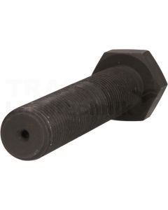 Gewindespindel M22 x 134 mm