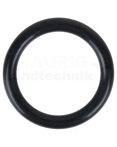 Dichtungsring für 515.1210
