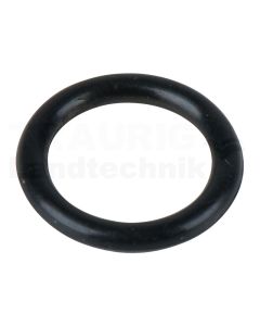 O-Ring für Drehzahlregulierung