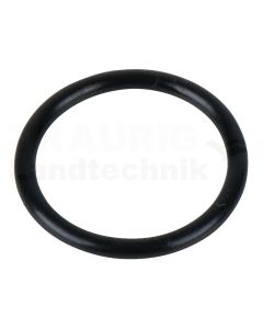 O-Ring