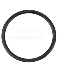 O-Ring für Lufteinlass