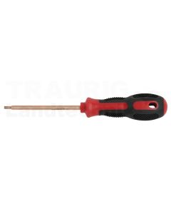 BERYLLIUM Schraubendreher TORX T20