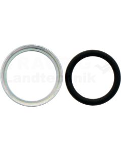 Dichtring mit O-Ring