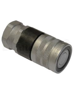 FSH Muffe IG 3/8" BSP