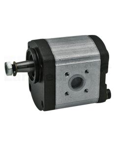 Einfachpumpe