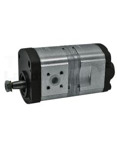 Doppelpumpe