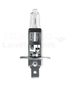 Halogenlampe H1