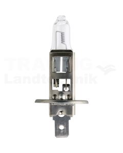 Halogenlampe H1