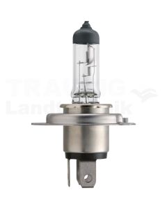 Halogenlampe H4