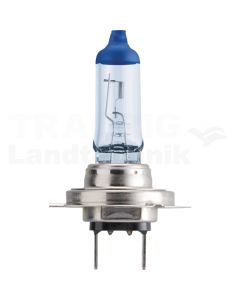 Halogenlampe H7