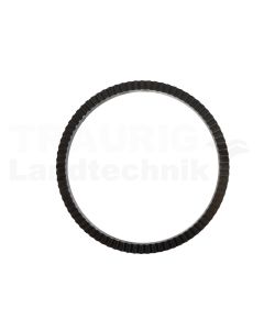 Ring Polrad 80 Zähne
