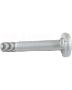 Federbolzen M 30 x 170, 8.8, Ø 62