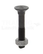 Pflugschraube 12x70 DIN 608