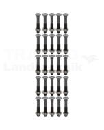 VPE25 Pflugschraube M10x60 DIN 608