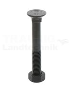 VPE25 Pflugschraube M12x85 DIN 608