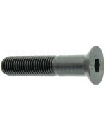Schraube M20 x 100, 10.9