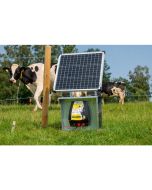Solarpanel