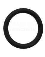 O-Ring 3/4″ DN20-BG4