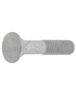 Bolzen M12x60